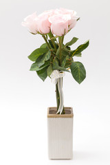 pink rose in vase