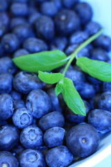 Obraz premium Ripe blueberries in the blue bowl
