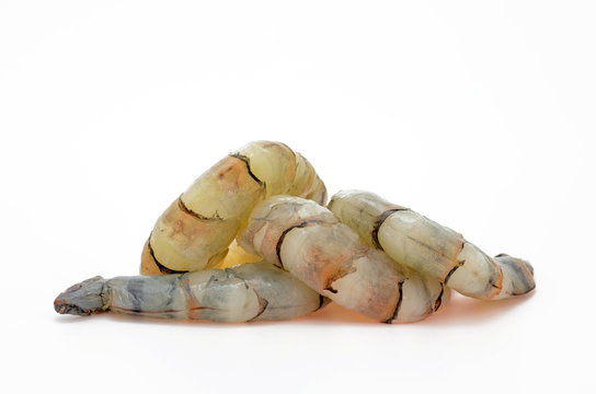 tiger prawns