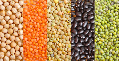 different kind of beans