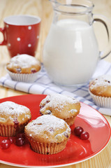 Cranberry muffins