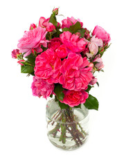 bouquet of pink roses on white background