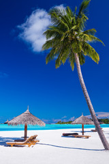 Deck chairs under umrellas and palm trees