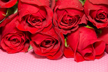 Red roses