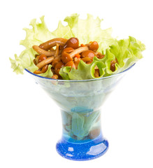 agaric honey at plate