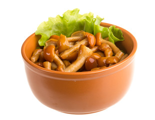 agaric honey at plate