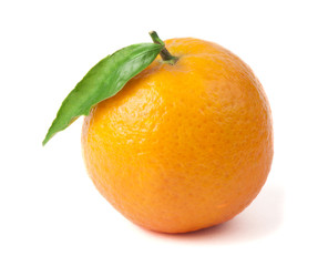 Group mandarins white isolated studio shot