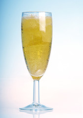  bubbles in a glass of champagne
