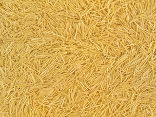 Vermicelli
