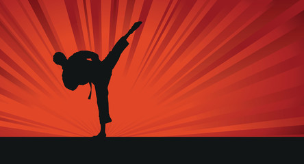 karate silhouette background - 48908723