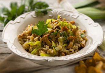 risotto with mushrooms and leek, selective focus