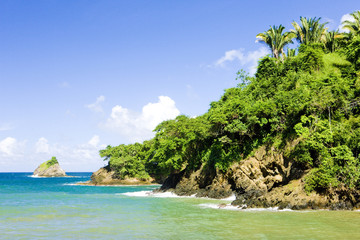 Western coast of Tobago