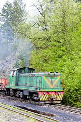 narrow gauge railway, Banovici, Bosnia and Hercegovina