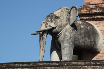 Fototapeta na wymiar Elefant auf dem Tempel