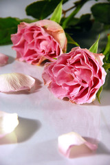 Rosen