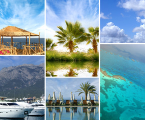 A collage of resort images with the blue sky and palms