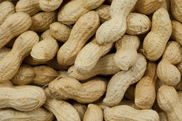 Noccioline