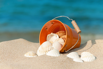 Sommerliches Strandstillleben mit weißen Muscheln, Sommerurlaub - 48910937