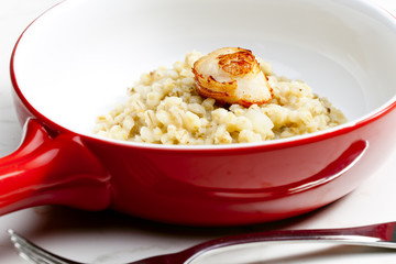 fried Saint Jacques mollusc with pearl barley risotto