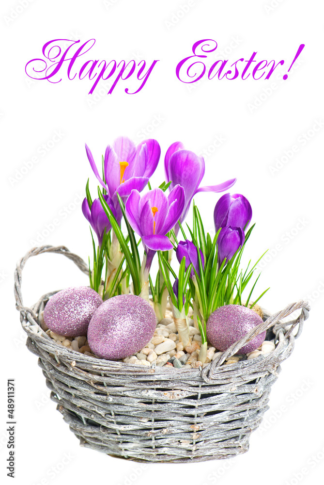 Wall mural beautifil spring flowers crocus with easter eggs decoration