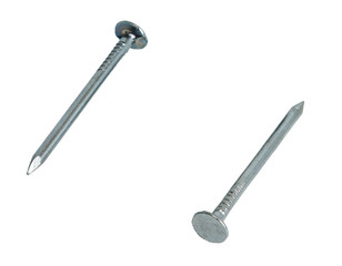 Two galvanized nail
