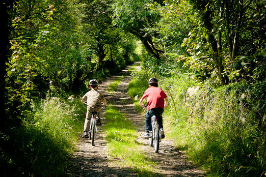 Fototapeta Country Lane