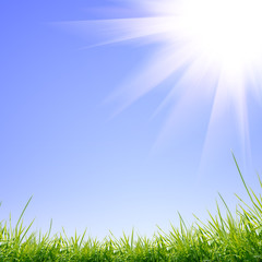 green grass with on the green background