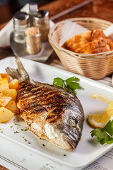 Grilled dorado fish