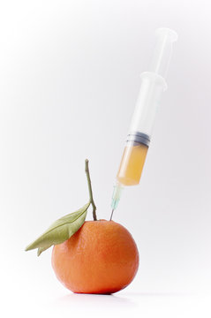 Live healthy