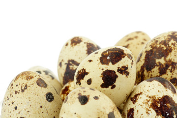 Jajka przepiórcze © CUKMEN
