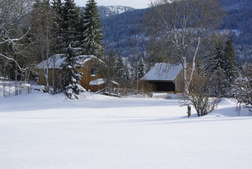 Fototapeta na wymiar Paysage hivernal