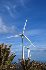 Pale Eoliche, Energia Verde a Lanzarote © strenghtofframe