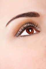 Obraz premium Close up beautiful woman eye with professional make up