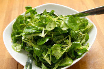 Feldsalat