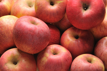 Apples