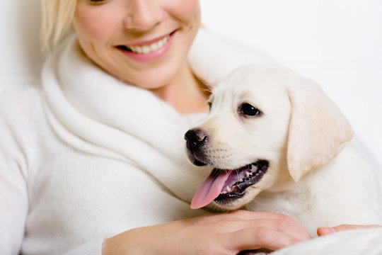 Closeup of Labrador puppy on the hands of smiley woman