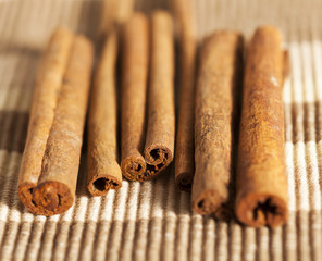 Cinnamon sticks on runner isolated