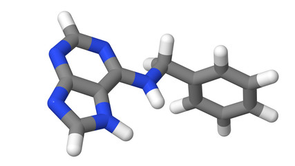 Plant hormone - Cytokinins - Benzyl adenine - BAP - sticks model