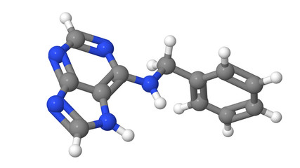 Plant hormone - Cytokinins - Benzyl adenine - BAP - model - obrazy, fototapety, plakaty