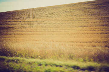 wheat field harvesting done - Drumheller Alberta - LOMO