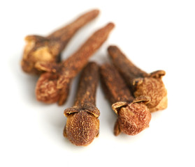 cloves against white background