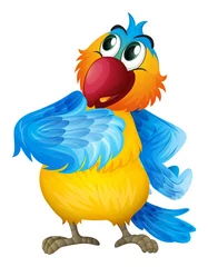 Zelfklevend Fotobehang Een papegaai die zich afvraagt © GraphicsRF