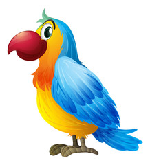 Een kleurrijke papegaai