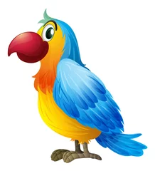  Een kleurrijke papegaai © GraphicsRF