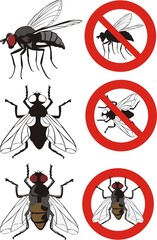 housefly - warning signs