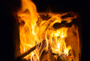 close view of fire on the wood