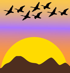migratory birds on sunset or dawn