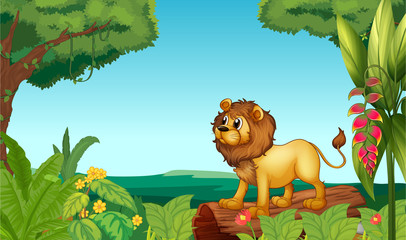 Un lion effrayant dans la jungle