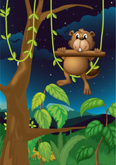 A beaver playing in the woods
