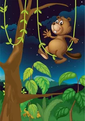 Photo sur Plexiglas Animaux de la forêt Un castor dans la forêt sombre